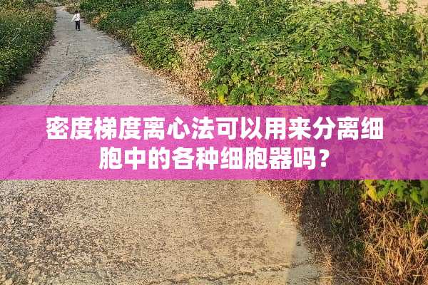 密度梯度离心法可以用来分离细胞中的各种细胞器吗？