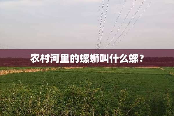 农村河里的螺蛳叫什么螺？