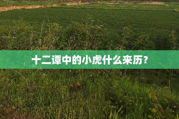 十二谭中的小虎什么来历？