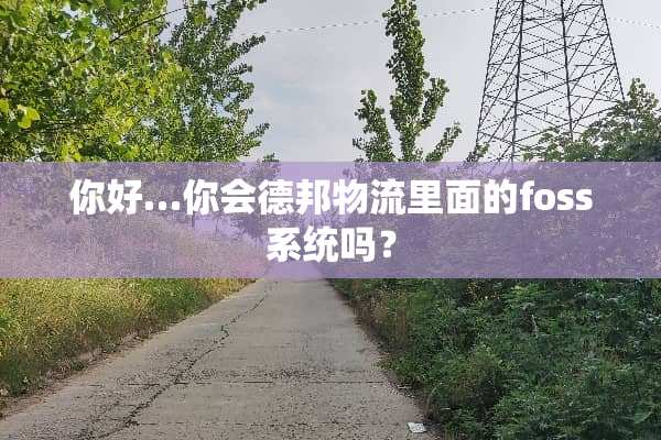 你好…你会德邦物流里面的foss系统吗？