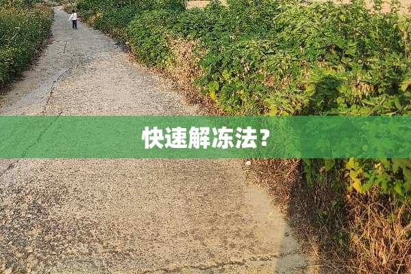 快速解冻法？
