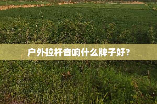 户外拉杆音响什么牌子好？