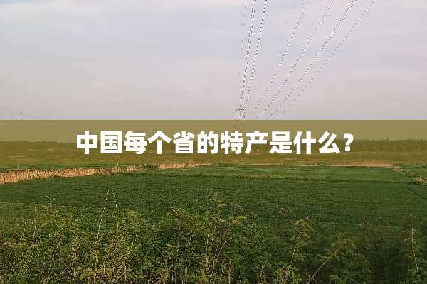 中国每个省的特产是什么？