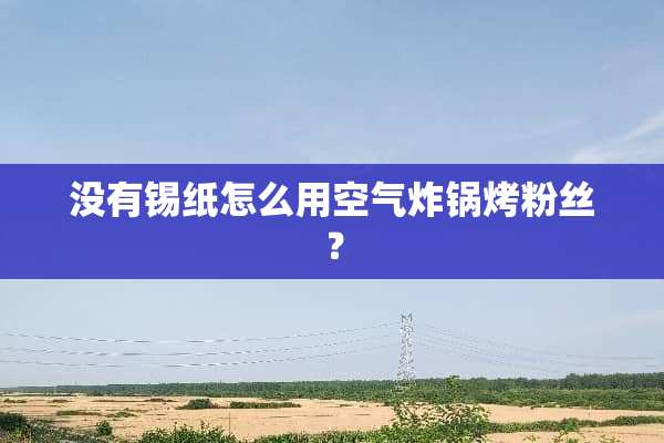 没有锡纸怎么用空气炸锅烤粉丝？