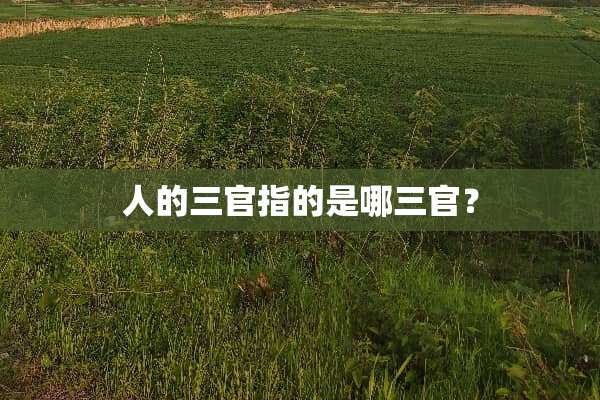 人的三官指的是哪三官？