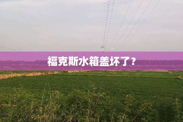 福克斯水箱盖坏了？