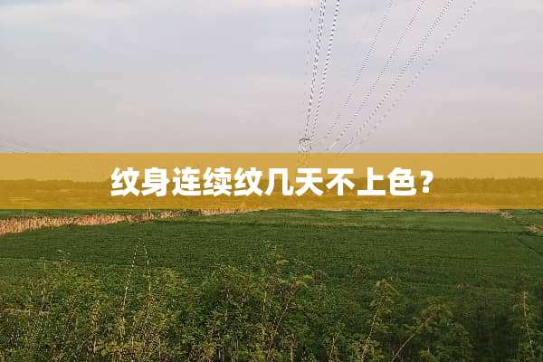 纹身连续纹几天不上色？
