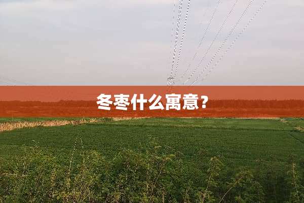 冬枣什么寓意？