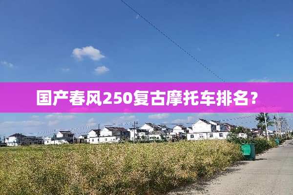 国产春风250复古摩托车排名？