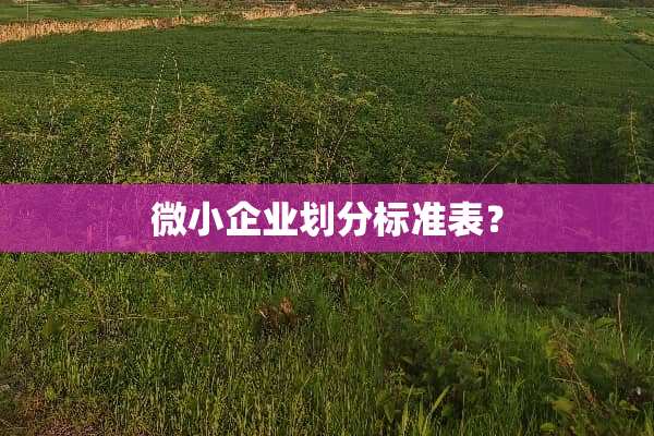 微小企业划分标准表？