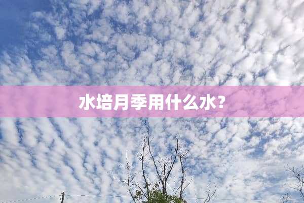 水培月季用什么水？