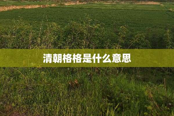 清朝格格是什么意思