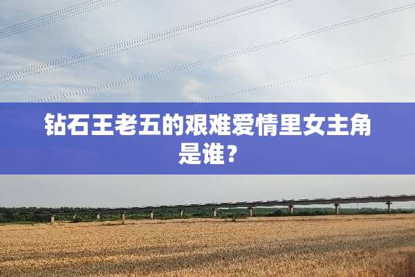 钻石王老五的艰难爱情里女主角是谁？
