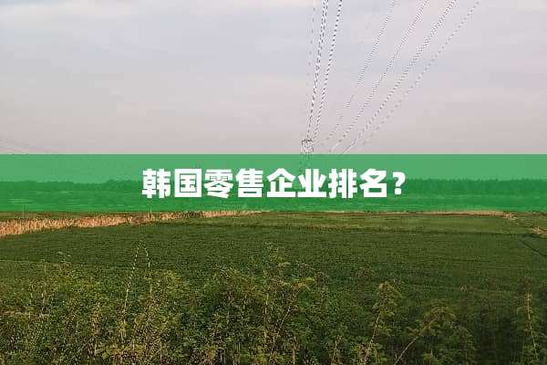 韩国零售企业排名？