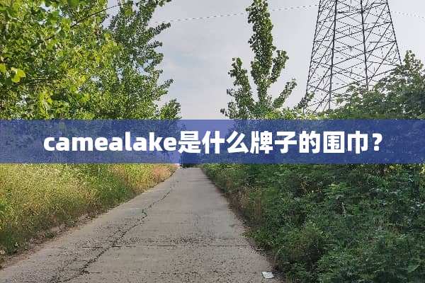 camealake是什么牌子的围巾？