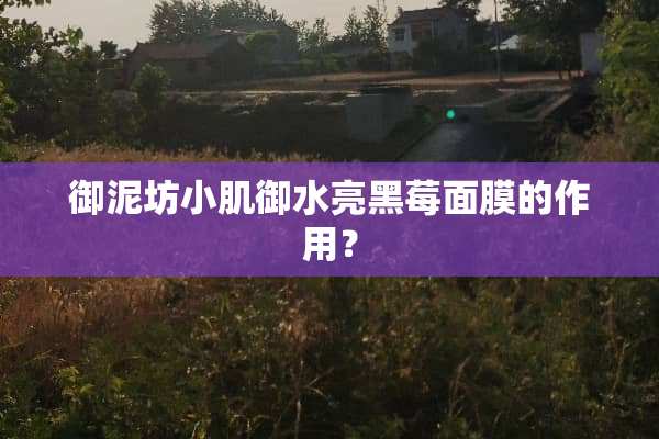 御泥坊小肌御水亮黑莓面膜的作用？