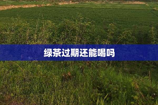 绿茶过期还能喝吗