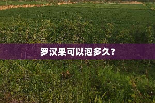 罗汉果可以泡多久？