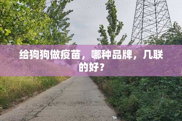 给狗狗做**，哪种品牌，几联的好？