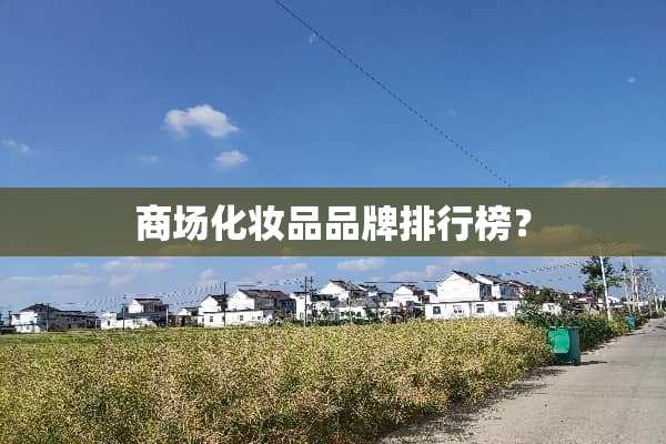 商场化妆品品牌排行榜？