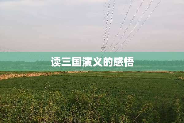读三国演义的感悟