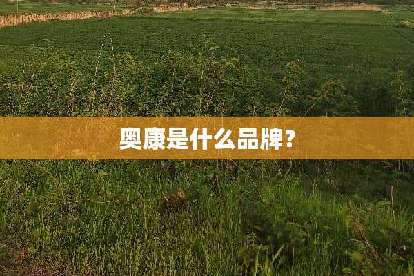 奥康是什么品牌？