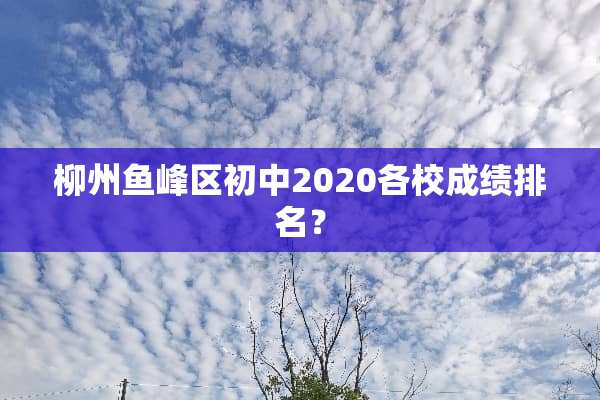 柳州鱼峰区初中2020各校成绩排名？