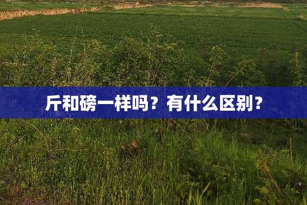 斤和磅一样吗？有什么区别？