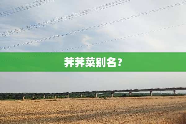 荠荠菜别名？