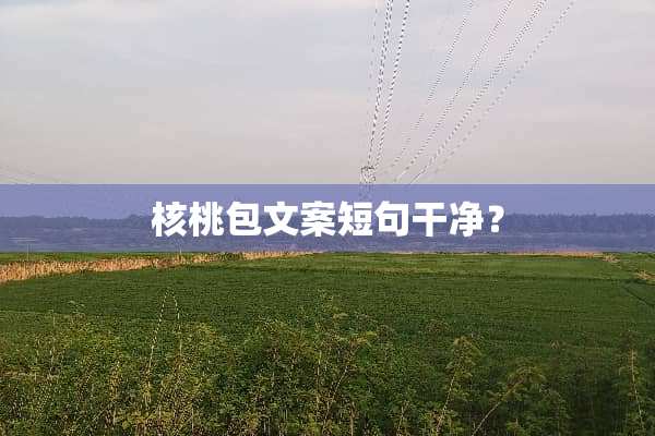 核桃包文案短句干净？