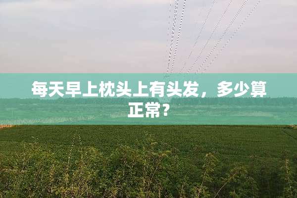 每天早上枕头上有头发，多少算正常？