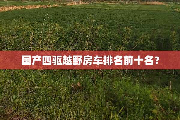 国产四驱越野房车排名前十名？