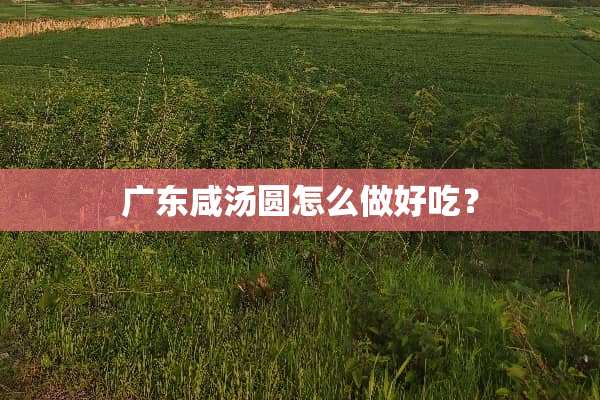 广东咸汤圆怎么做好吃？