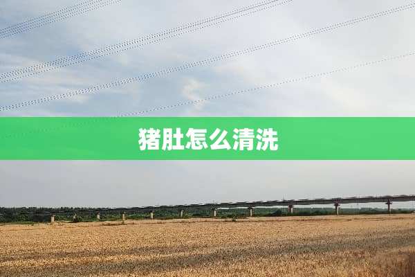 猪肚怎么清洗