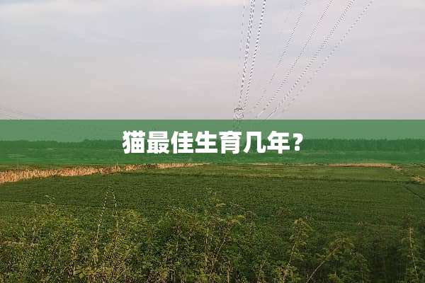 猫最佳生育几年？