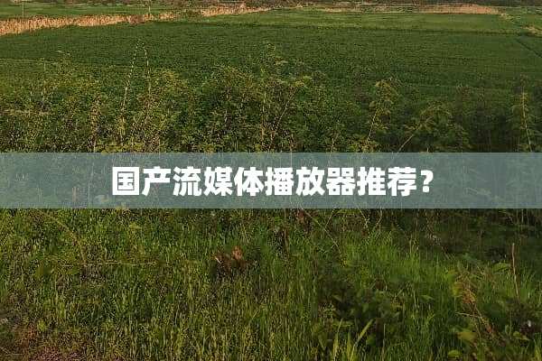 国产流媒体播放器推荐？