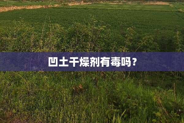 凹土干燥剂有毒吗？