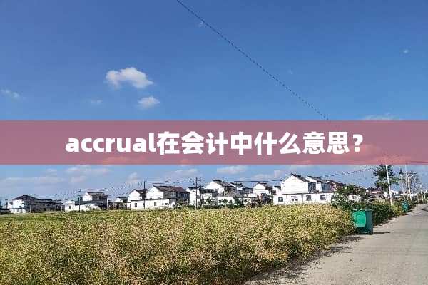 accrual在会计中什么意思？