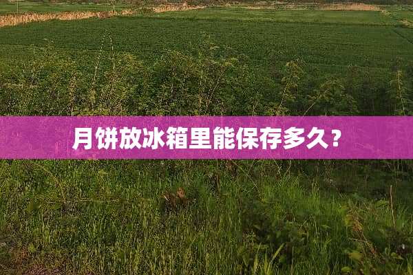 月饼放冰箱里能保存多久？