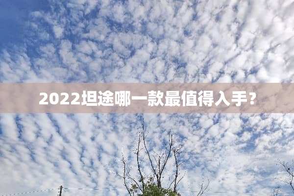 2022坦途哪一款最值得入手？