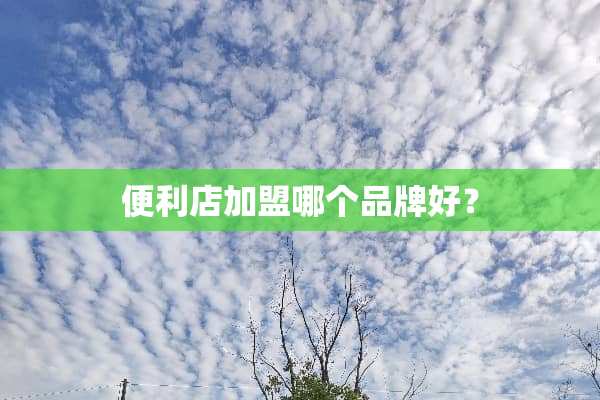 便利店加盟哪个品牌好？