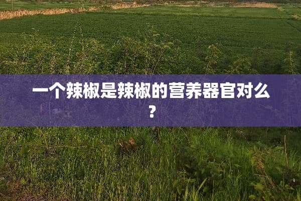 一个辣椒是辣椒的营养**对么？