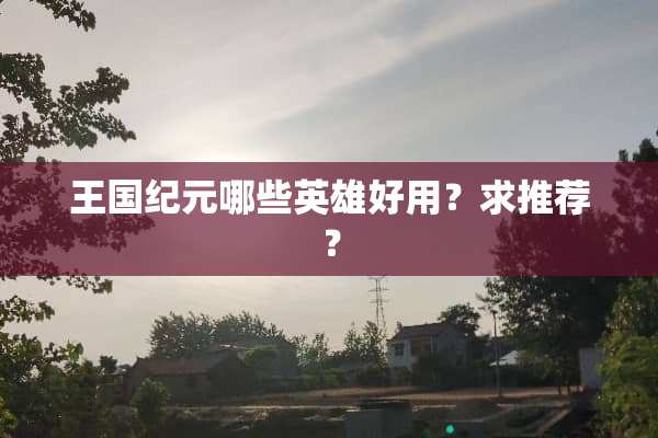 王国纪元哪些英雄好用？求推荐？