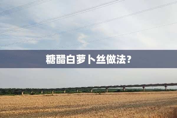 糖醋白萝卜丝做法？