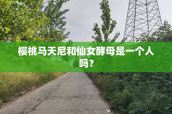 樱桃马天尼和仙女酵母是一个人吗？