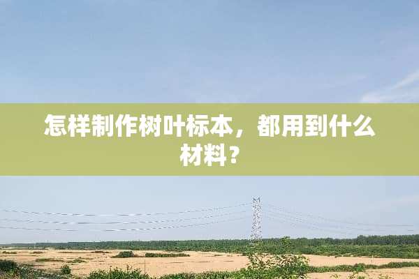 怎样制作树叶标本，都用到什么材料？