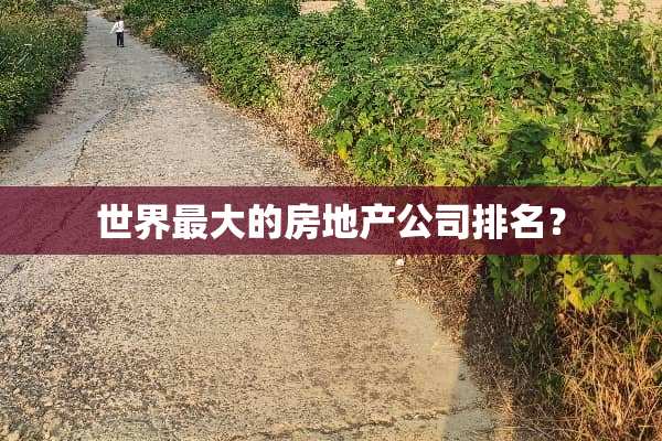 世界最大的房地产公司排名？