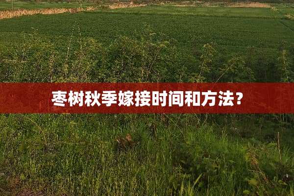 枣树秋季嫁接时间和方法？