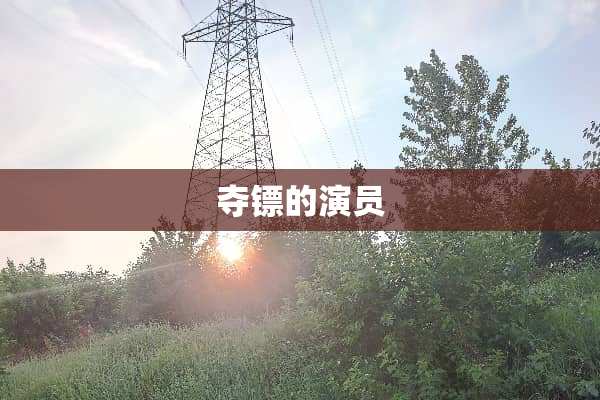 夺镖的演员
