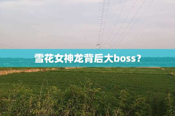 雪花女神龙背后**oss？